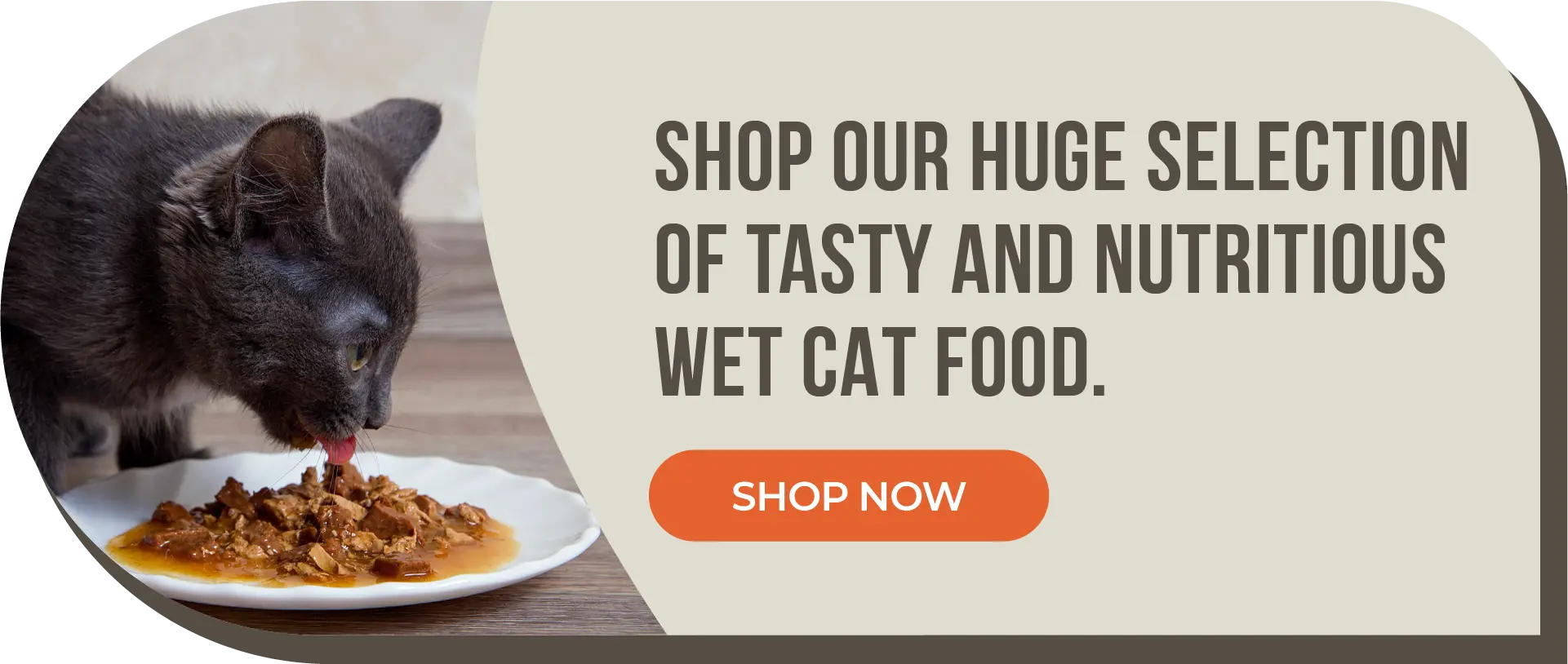 Best wet store cat food canada